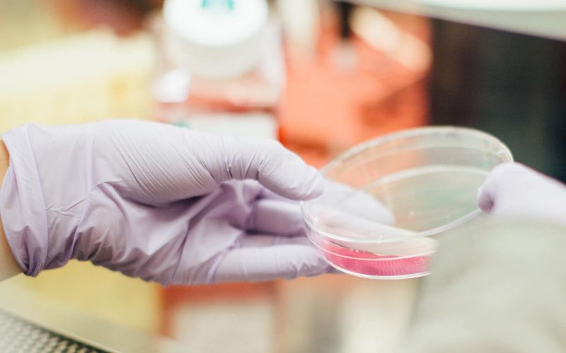 cannabis pesticide testing